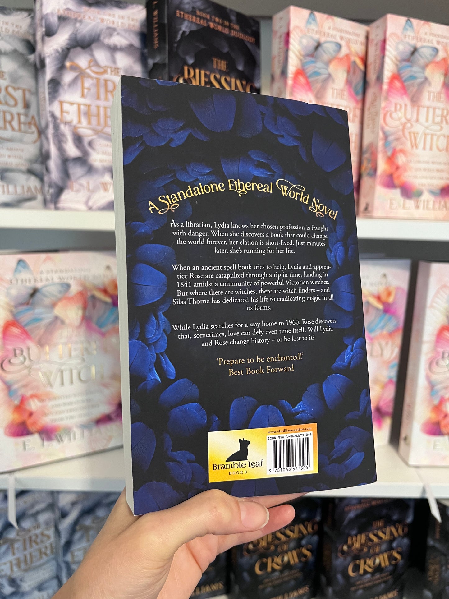 The Magic Keepers Paperback (Standalone)