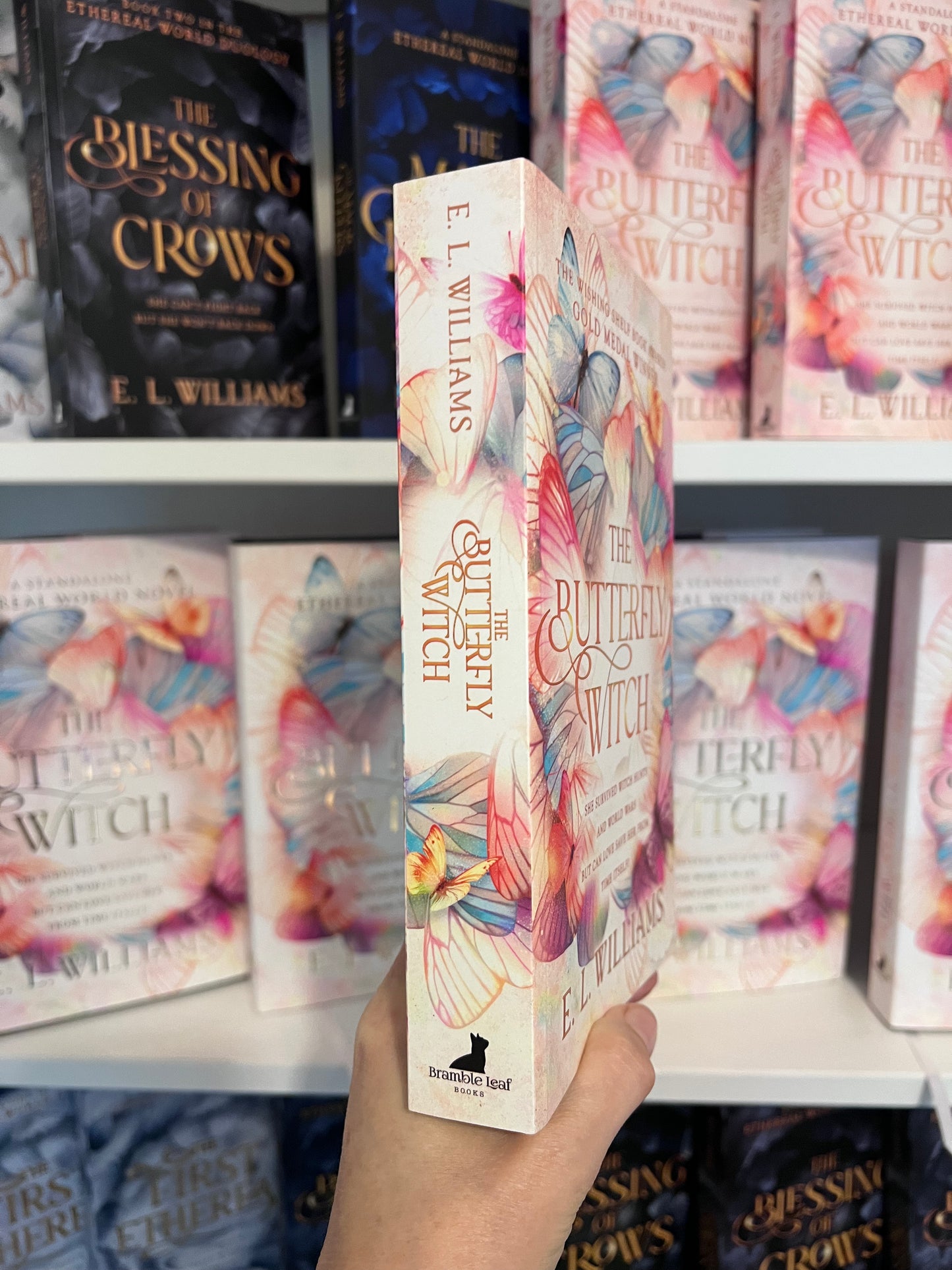 The Butterfly Witch Paperback (Standalone)